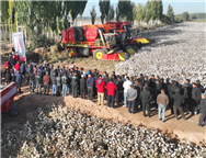 缽施然亮相2025新疆（喀什）•中亞農機農資博覽會！國產采棉機田間演示展硬核實力