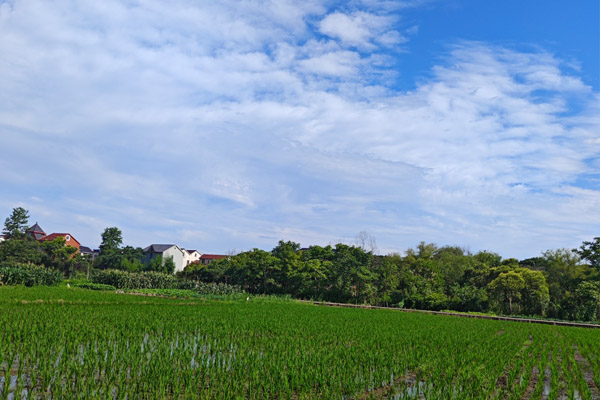 鄂爾多斯市2025年22.3萬畝高標準農(nóng)田建設項目全面復工