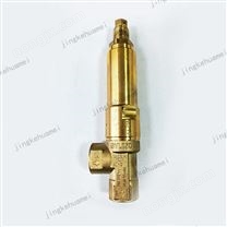 意大利进口AR安全阀 SVL20/250