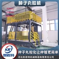 大型种子丸粒机